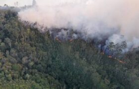 ABAE fortalece el monitoreo satelital para la prevención de incendios forestales en el país