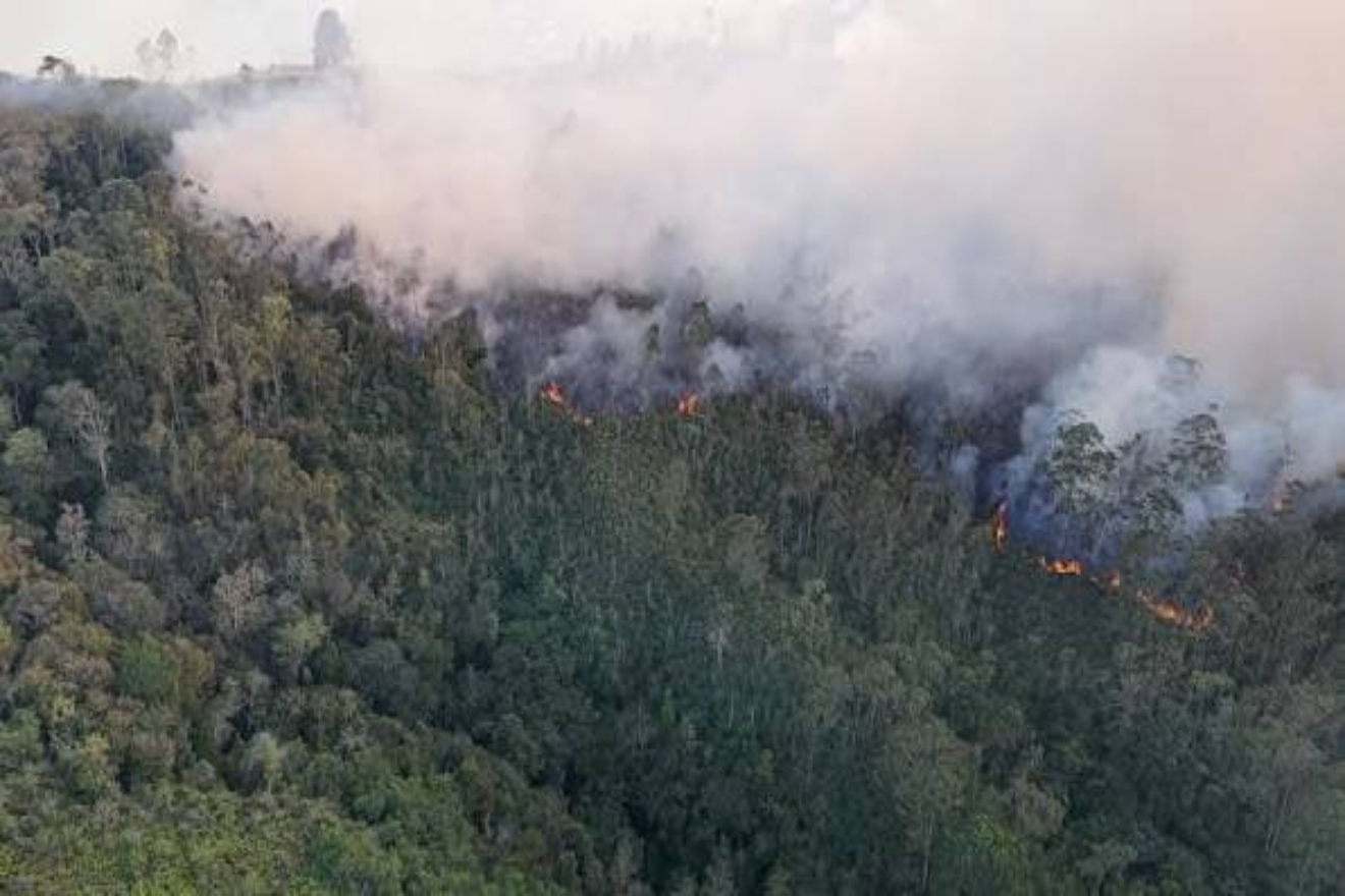 INCENDIOS (3)22