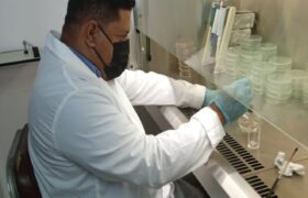 Fundación INZIT desarrolla bioinsumo a base de Trichoderma SP para impulsar agroecología