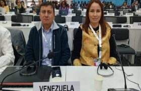 Venezuela reafirma su compromiso climático en la COP17 de la ONU en Mongolia