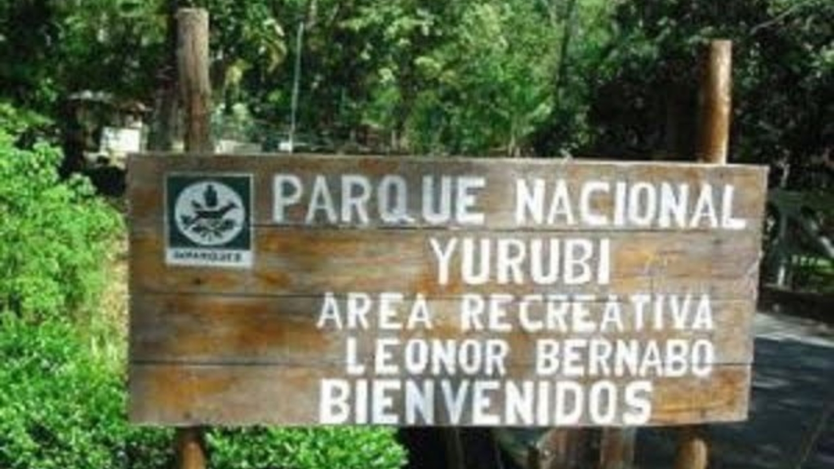 Parque-Nacional-Yurubi122