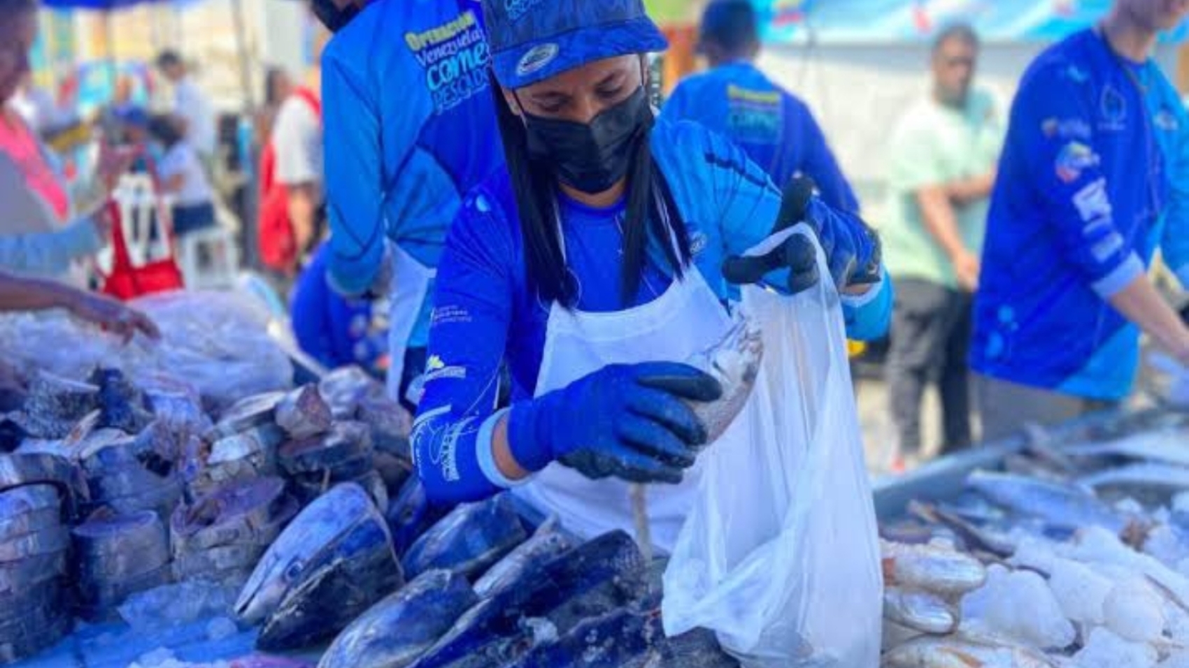 Venezuela come pescado11