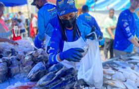 Plan Venezuela Come Pescado beneficia a diez comunidades de Puerto Cabello