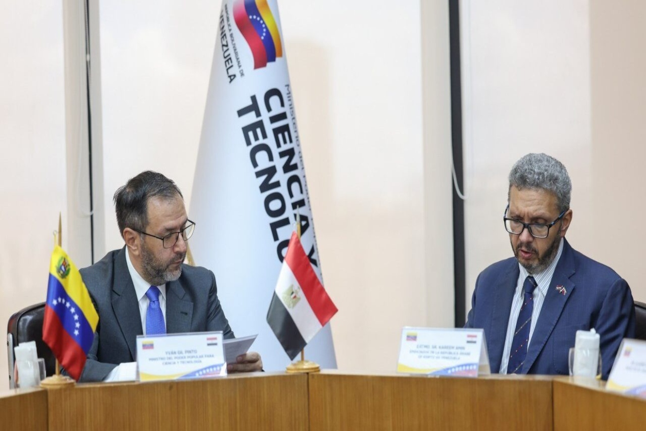 Venezuela y Egipto33