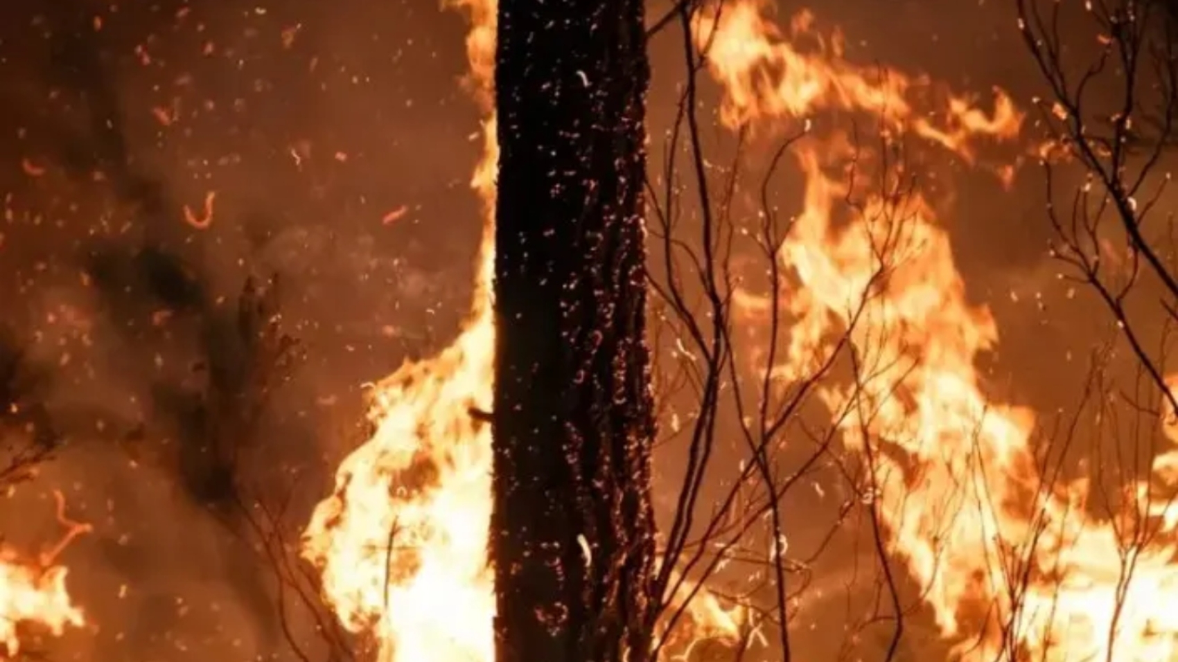 incendios (2)33
