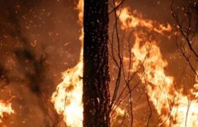 ​Francia detiene a más de 400 personas implicados en la ola de incendios forestales