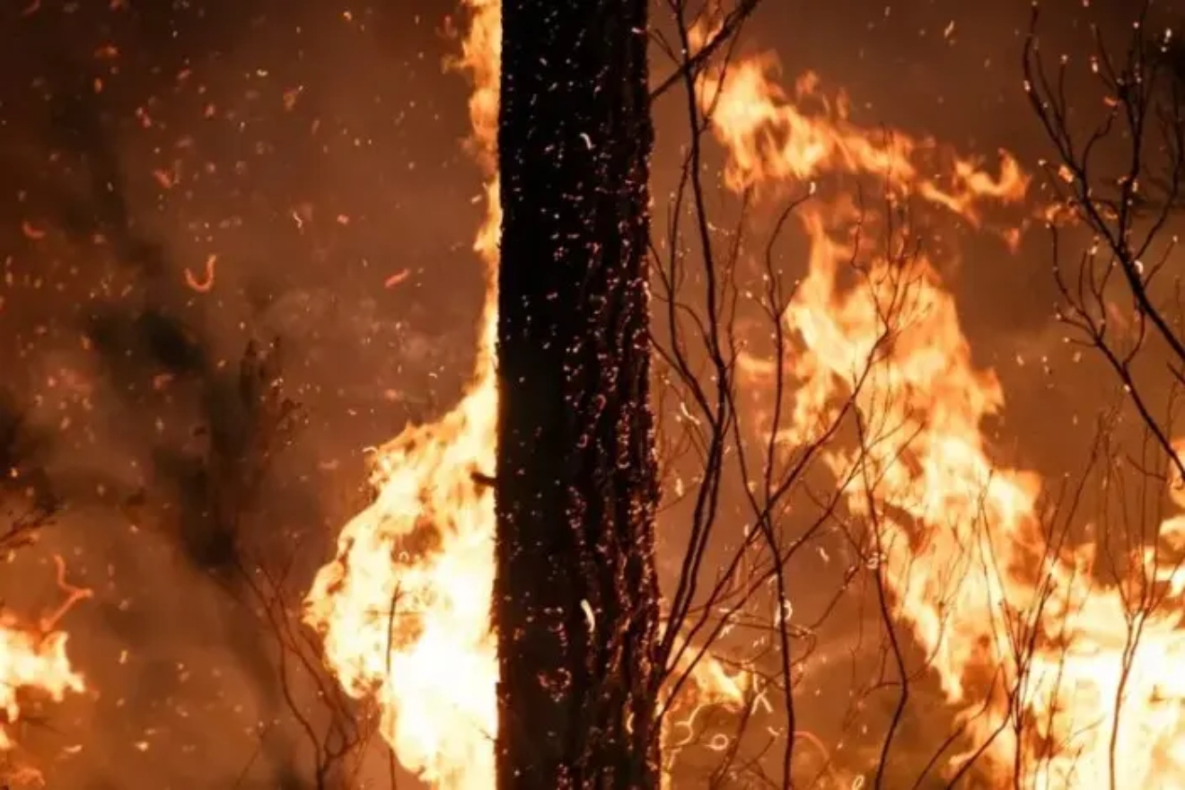 incendios (2)33