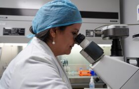 Investigadores del IVIC desarrollan terapia de regeneración cutánea a partir de células madre de folículos pilosos