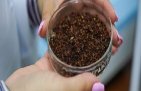 IVIC desarrolla fuentes de proteína alternativa a partir de macroalgas