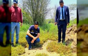 MINEC inició investigaciones por caso de maltrato a oso melero en Anzoátegui