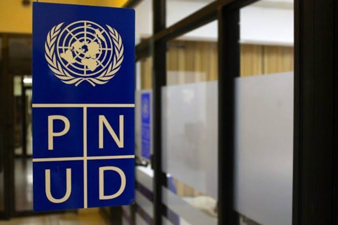 pnud (2)33