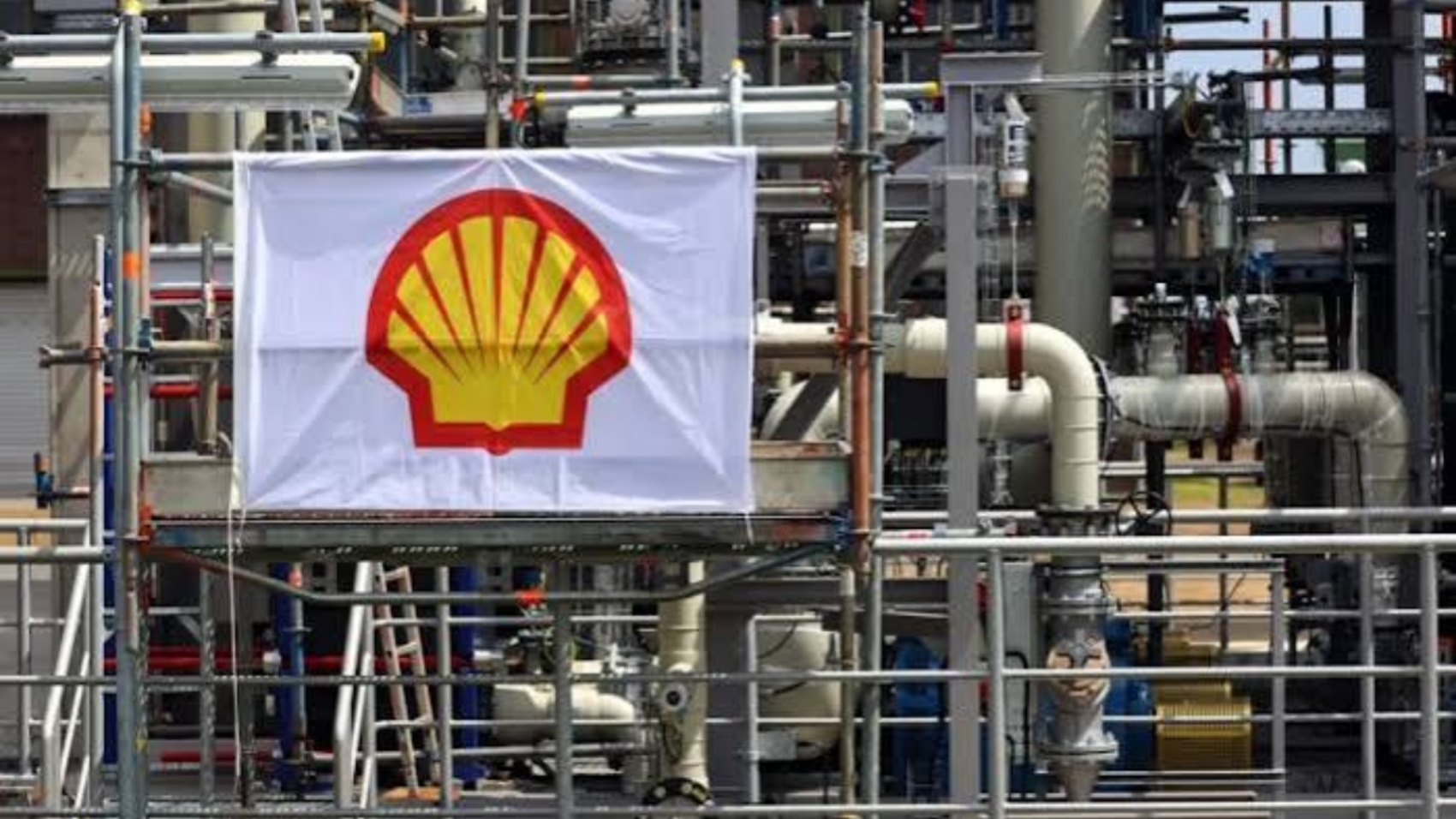 shell44