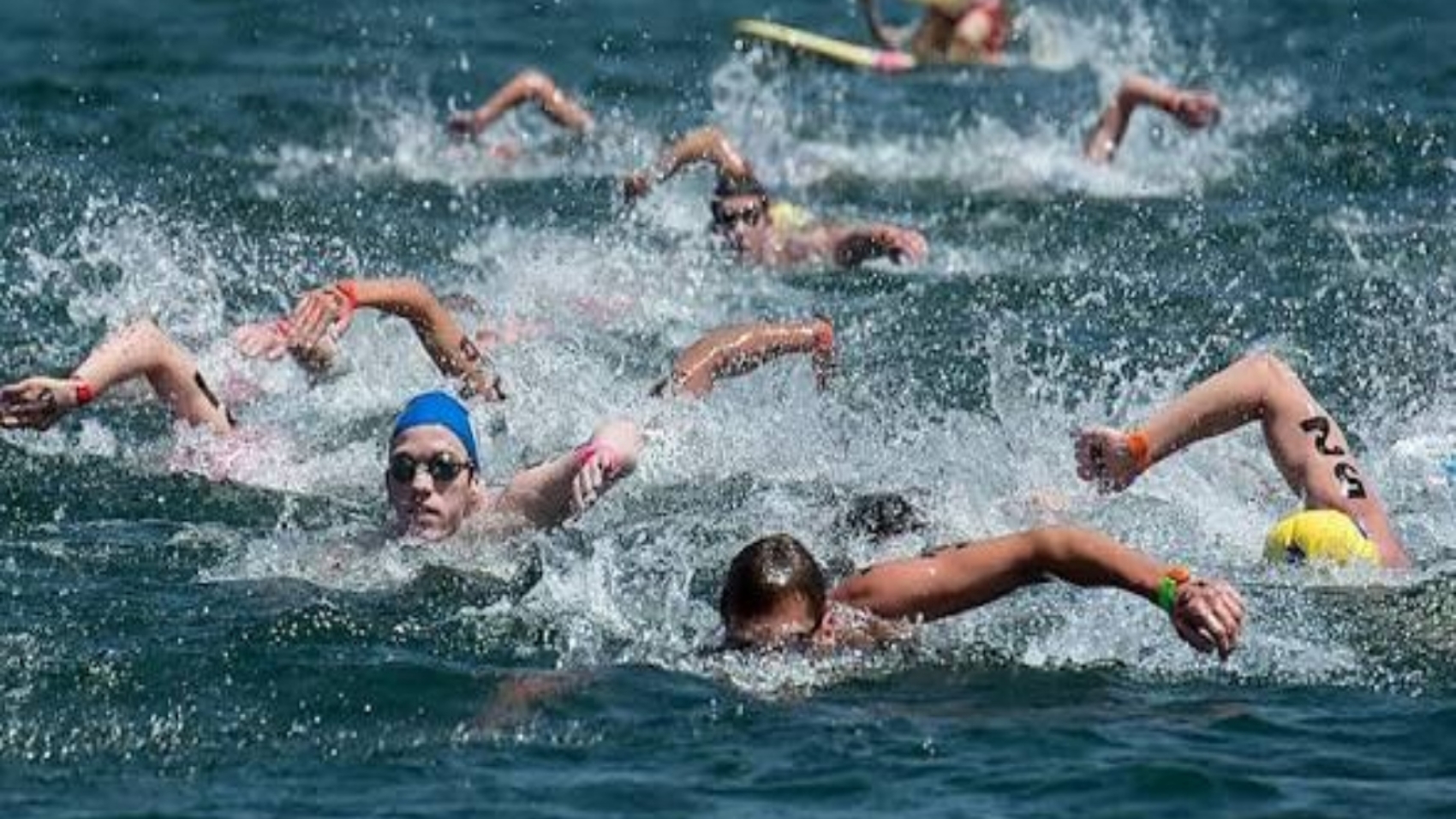 Aguas Abiertas33
