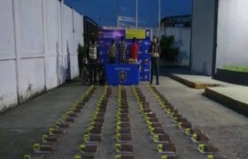 Policía Nacional incauta 104 kilos de marihuana en el estado Apure