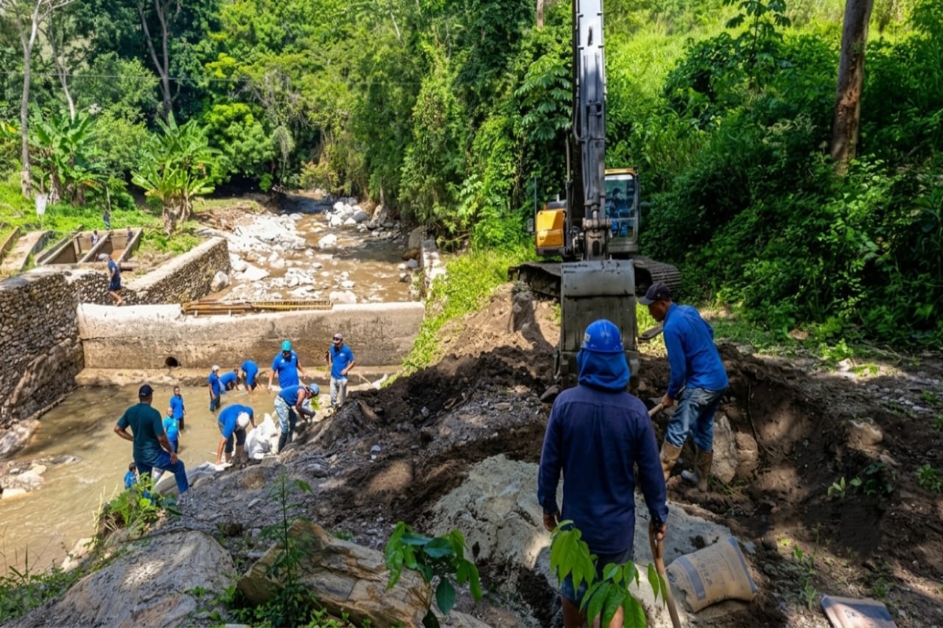 Aragua (1)55