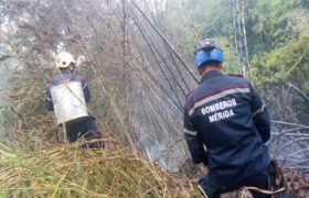 Cuerpo de Bomberos sofoca incendio de vegetación en municipio Alberto Adriani en Mérida