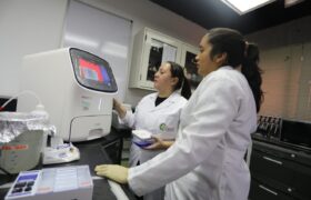 Fundación IDEA investiga potencial farmacológico de ficobiliproteínas de cianobacterias y macroalgas​