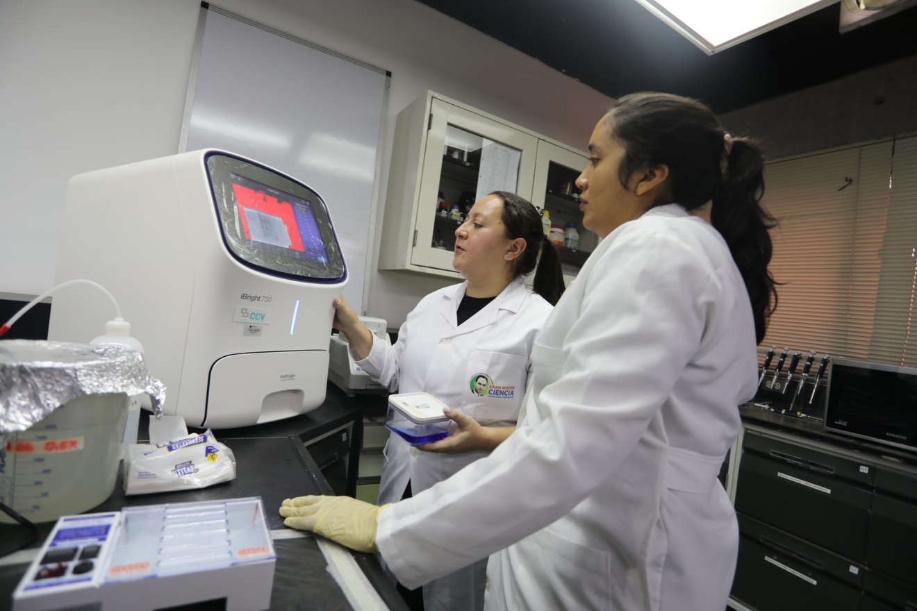 IDEA investigación11