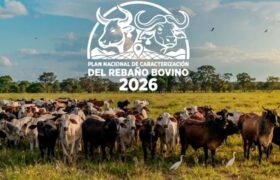 Avanza en Anzoátegui el Plan Nacional de Caracterización Ganadera 2026