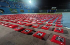 CPNB incauta más de 800 kilos de marihuana tras operativo de inteligencia en Nueva Esparta