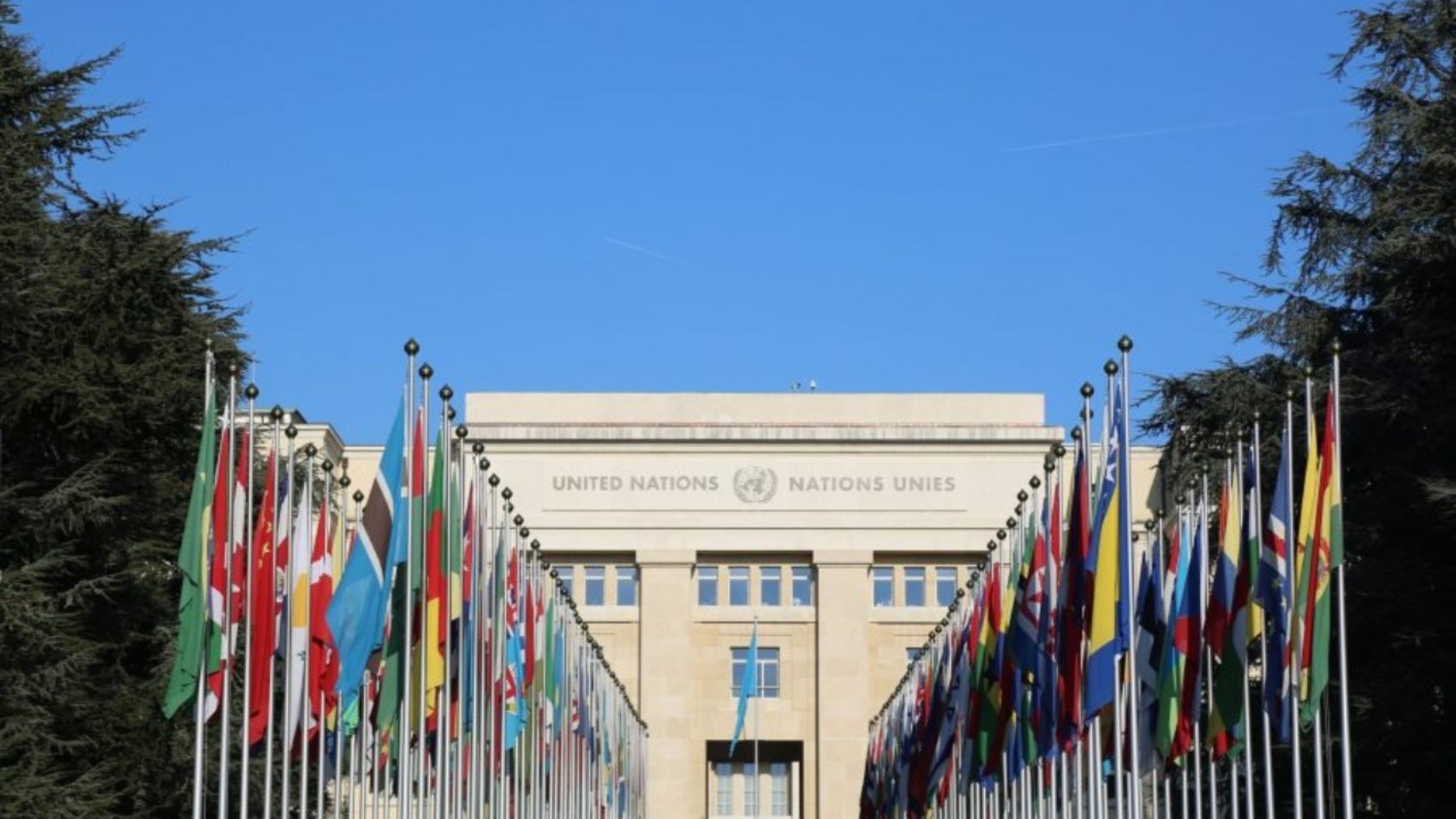 ONU44