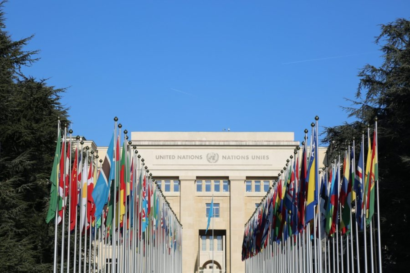 ONU44