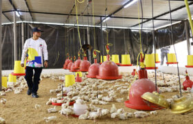 Presidenta Delcy Rodríguez inauguró centro agropecuario comunal liderado por la juventud de Caricuao