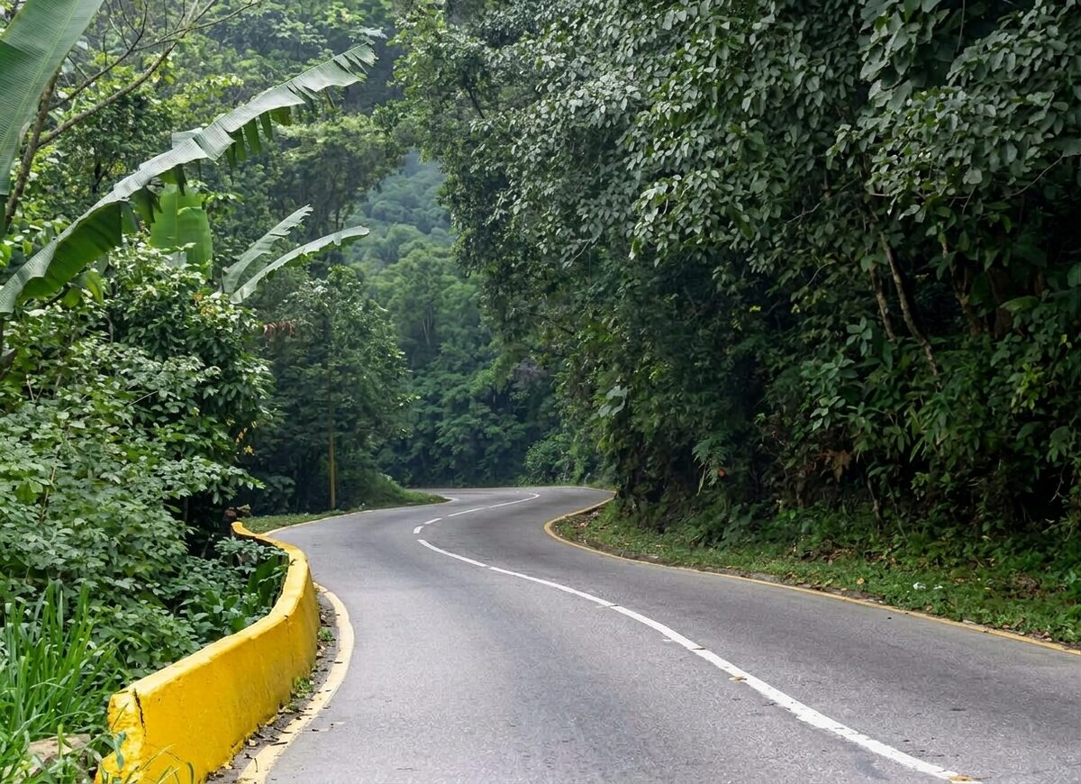 Restringen paso vehicular en la carretera Maracay-Choroní a partir del 13 de octubre